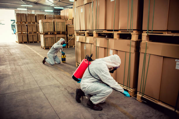Best Best Pest Control Companies  in Liberty Triangle, FL