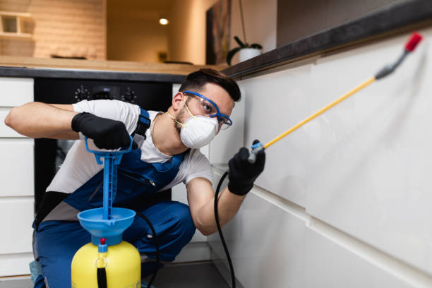 Best Rat Extermination Near Me  in Liberty Triangle, FL