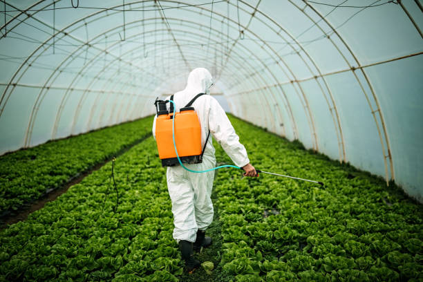Professional Pest Control in Liberty Triangle, FL