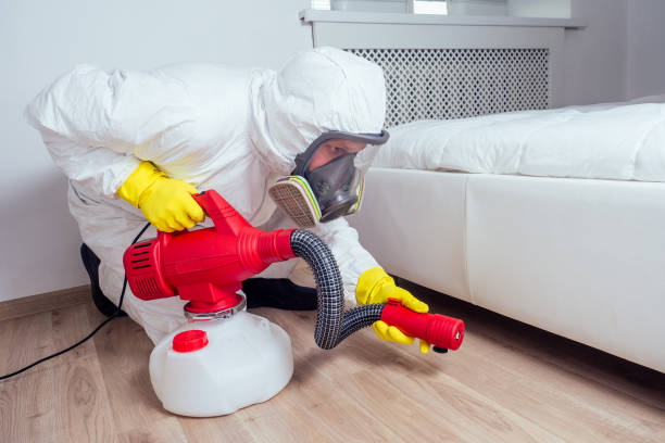 Best Flea Control Services  in Liberty Triangle, FL