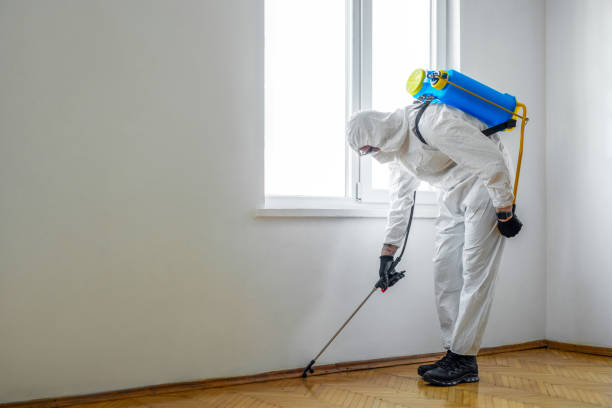 Best Exterminator Services  in Liberty Triangle, FL