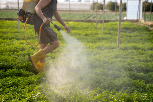 Best Wildlife Control Services  in Liberty Triangle, FL