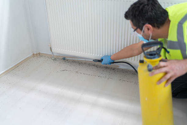 Pest Control Cost in Liberty Triangle, FL