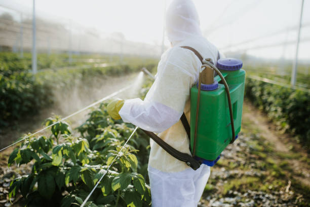 Best Ant Control Services  in Liberty Triangle, FL